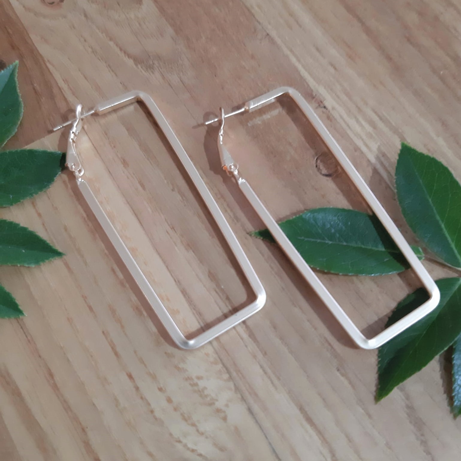 ���� ����� ����