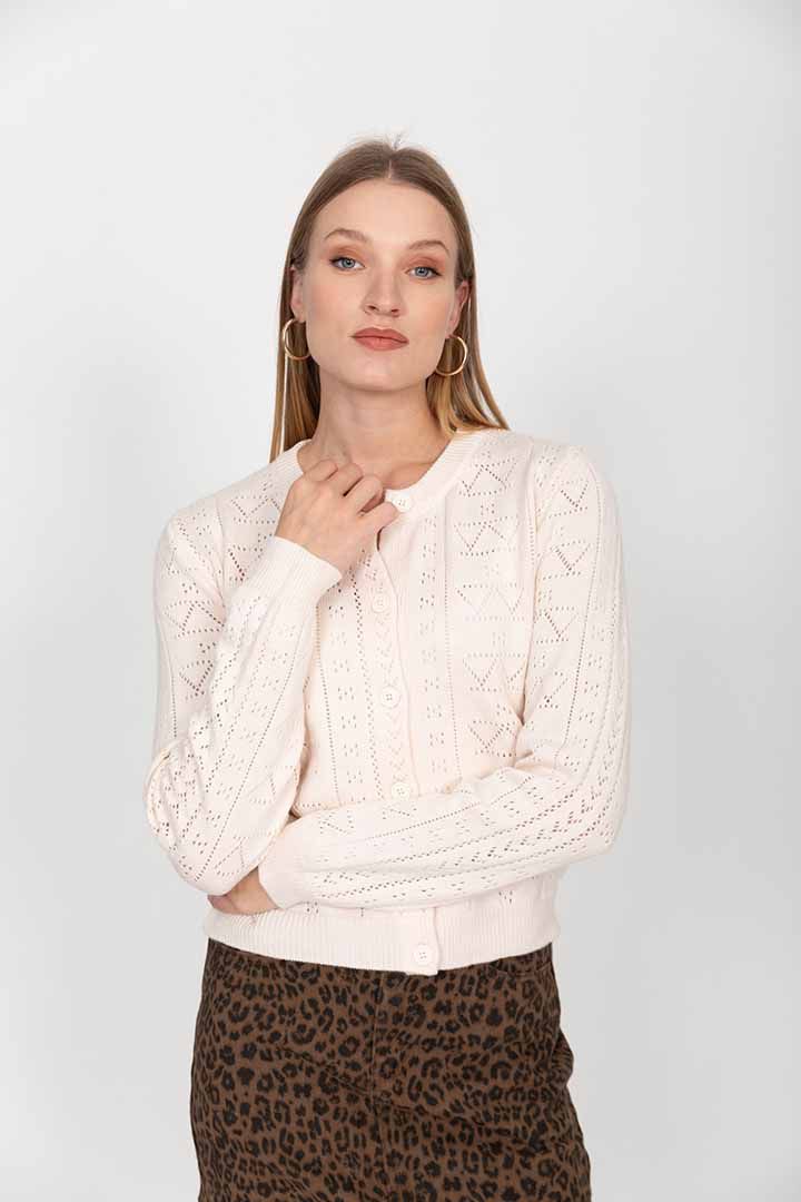 ���� ����