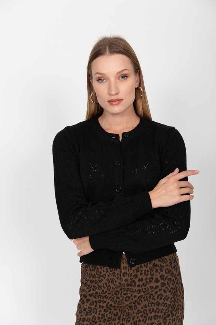 ���� ����