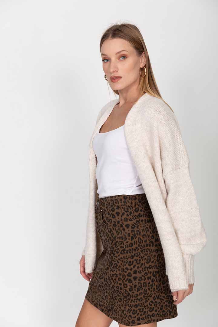 ������ ����