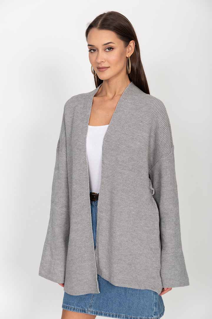 ������ ����