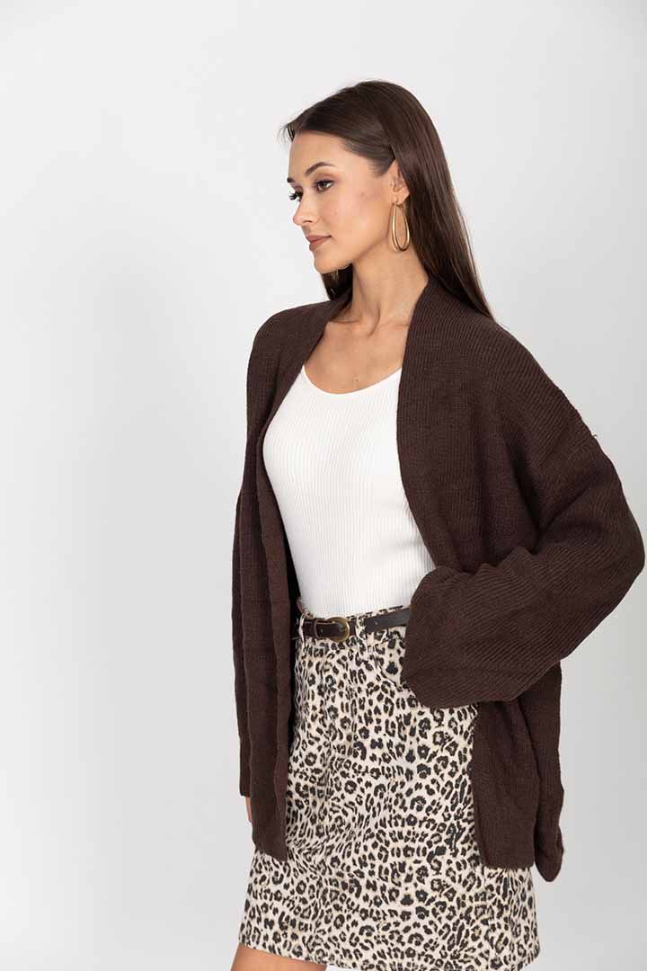 ������ ����