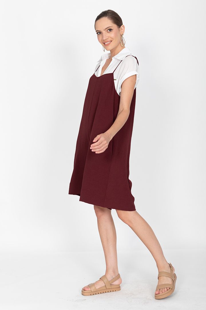 ������ ����