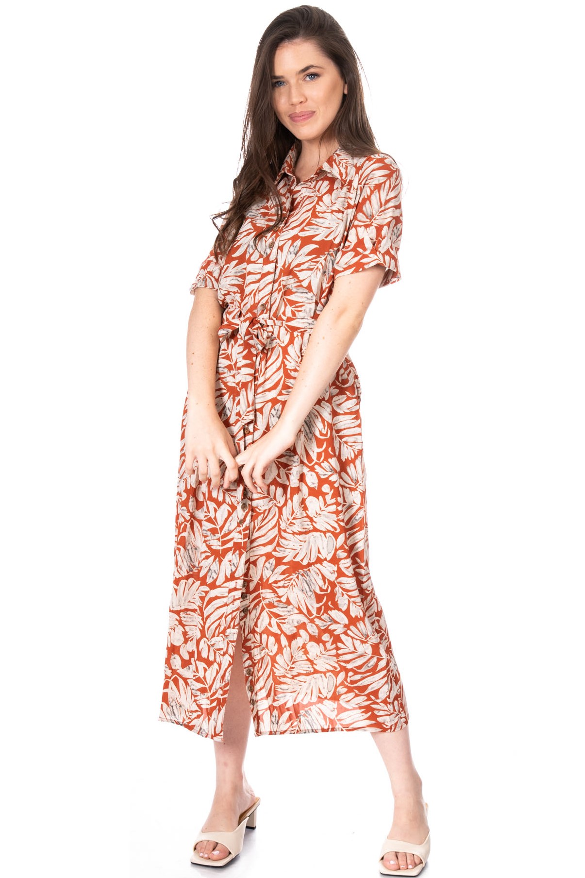 ���� ����