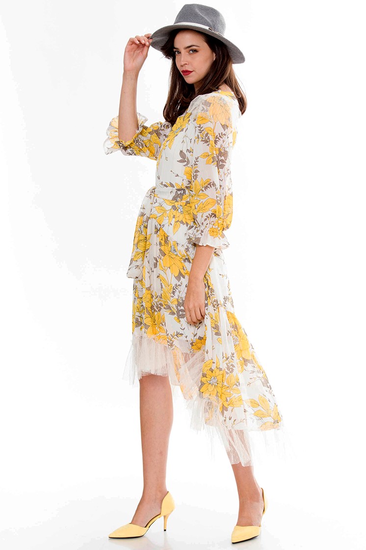 ���� ����