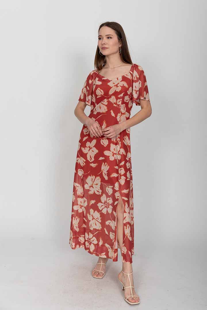 ���� �����