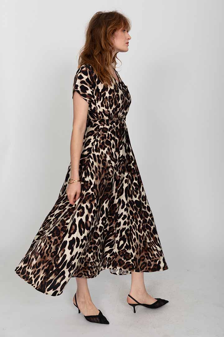 ���� �����