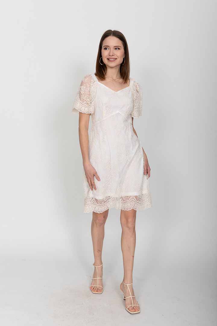 ���� ���� 