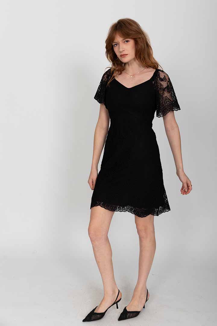 ���� ���� 