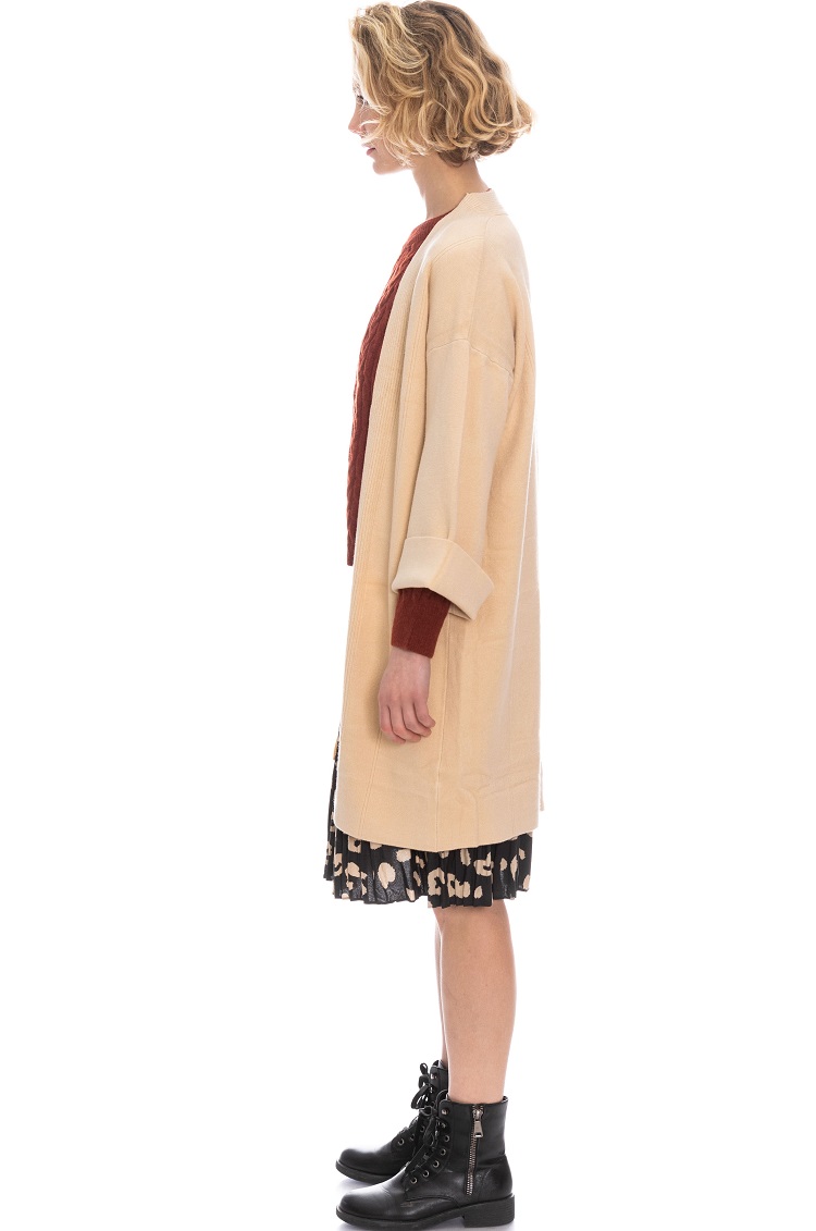 ������ ����