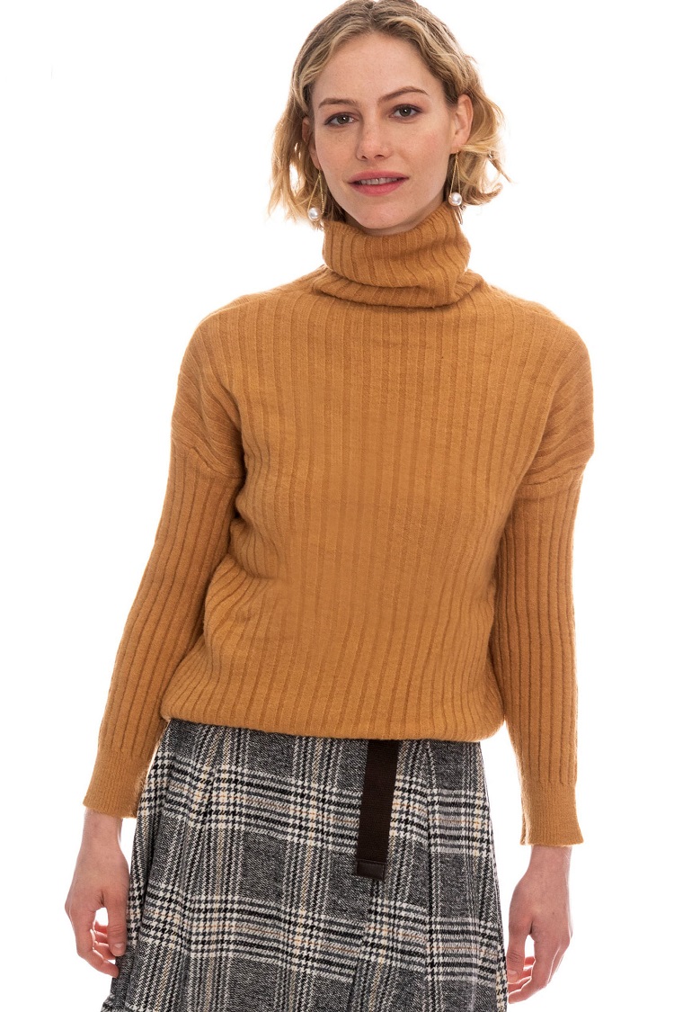 ���� ����