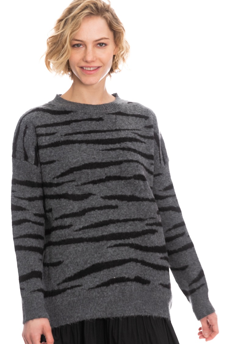 ���� ����