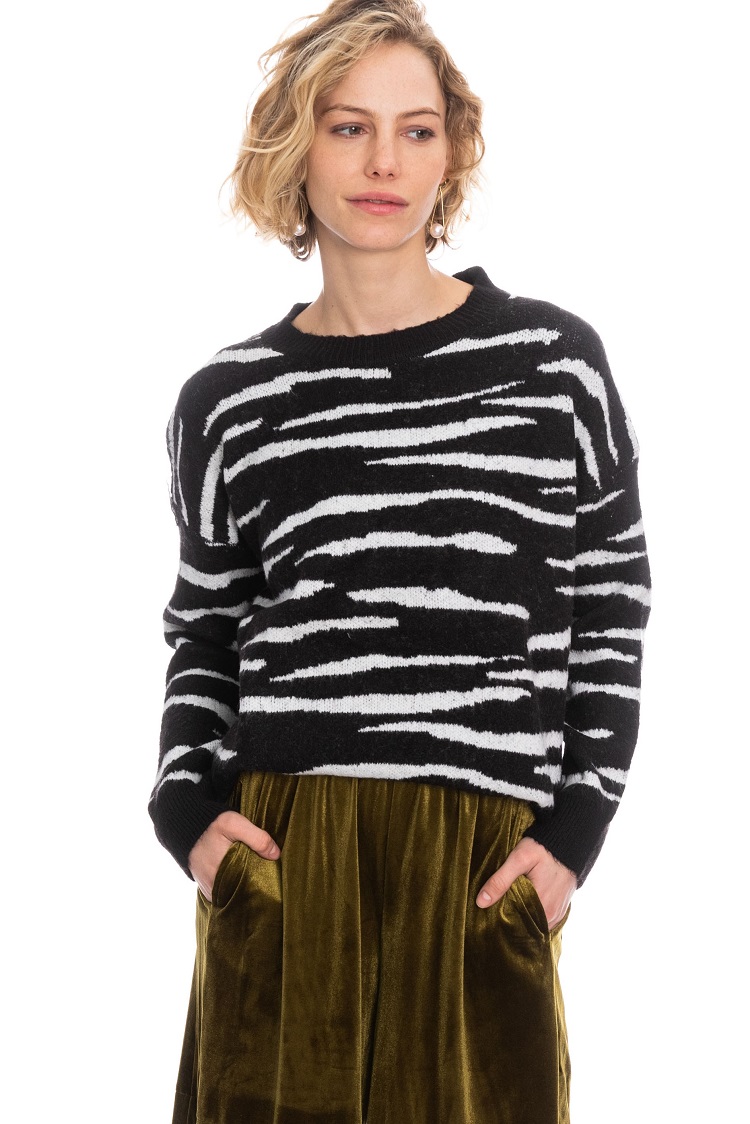 ���� ����